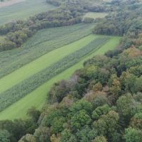 Wisconsin-Hunting and Recreational Land For Sale in Richland County images 3