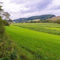 Wisconsin-Hunting and Recreational Land For Sale in Richland County images 4