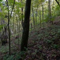 Wisconsin-Hunting and Recreational Land For Sale in Richland County images 6