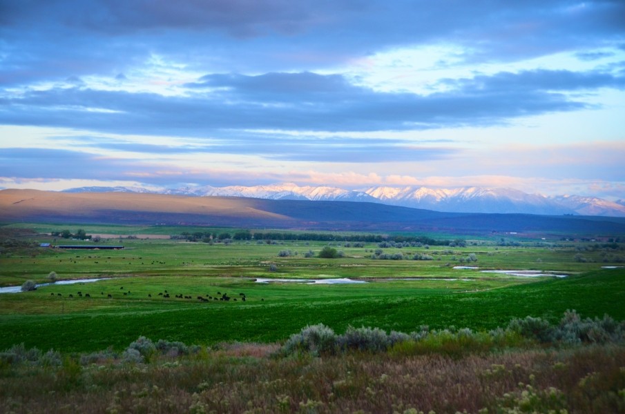 Meadow Grass River Ranch featured image