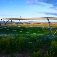 Meadow Grass River Ranch images 2