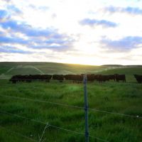 Meadow Grass River Ranch images 4