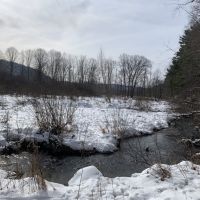 44 acres Farmland  Hunting Land and Building Lot in Hinsdale NY images 6