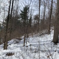 44 acres Farmland  Hunting Land and Building Lot in Hinsdale NY images 5