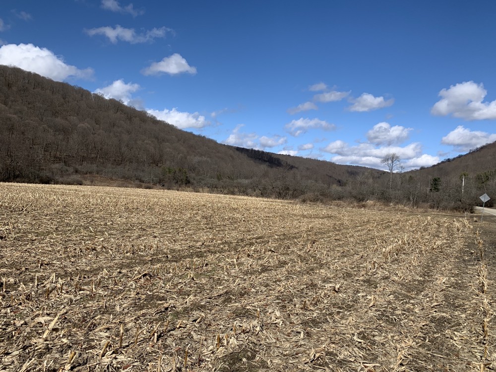 44 acres Farmland  Hunting Land and Building Lot in Hinsdale NY featured image