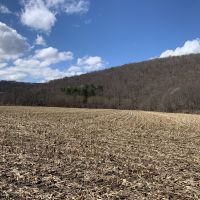 44 acres Farmland  Hunting Land and Building Lot in Hinsdale NY images 3