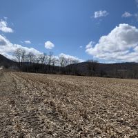 44 acres Farmland  Hunting Land and Building Lot in Hinsdale NY images 2