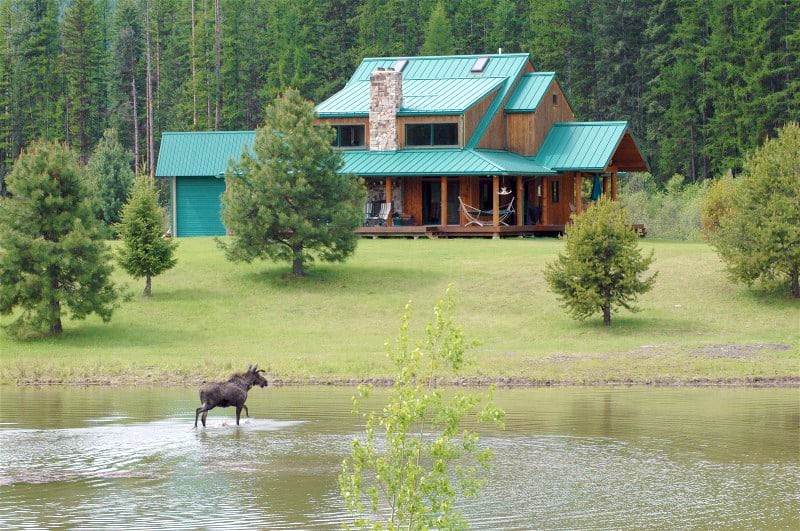 Moose Meadow Ranch featured image