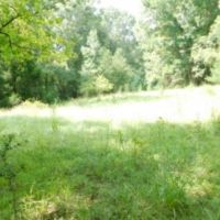 203 Acres in Yazoo County in Yazoo City  MS images 2