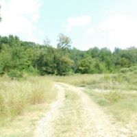 203 Acres in Yazoo County in Yazoo City  MS images 3