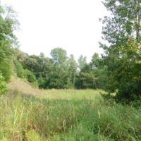 203 Acres in Yazoo County in Yazoo City  MS images 5