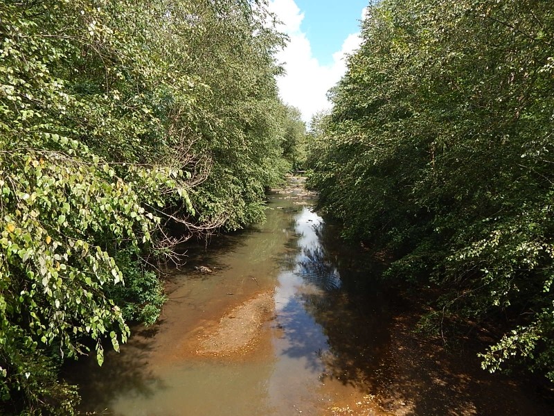 Echeconnee Creek Paradise featured image