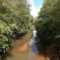 Echeconnee Creek Paradise