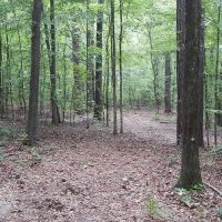 Echeconnee Creek Paradise images 3