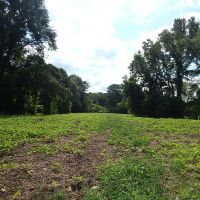 Echeconnee Creek Paradise images 4