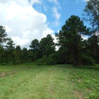 Echeconnee Creek Paradise images 5