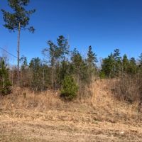 1.145 acres in NPSD images 2