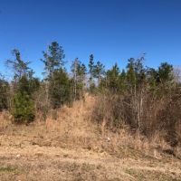 1.145 acres in NPSD images 6