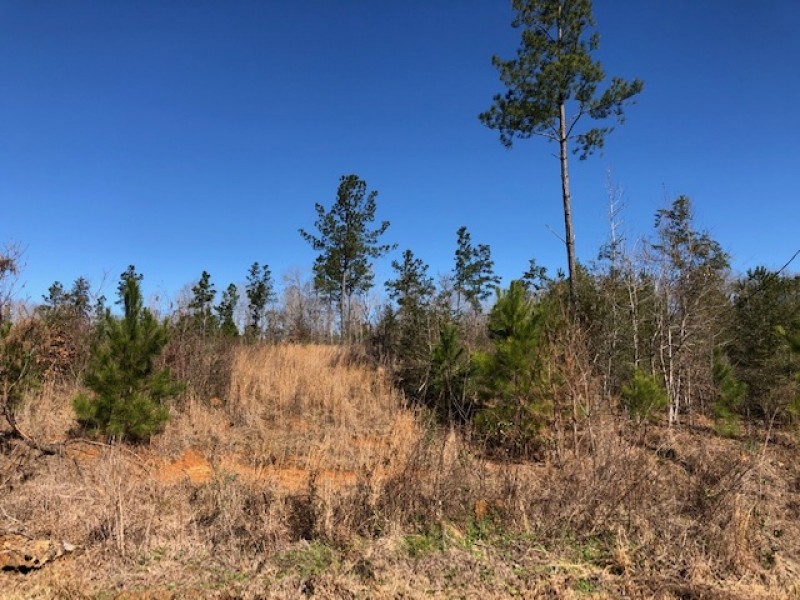 2.29 Acres in NPSD featured image