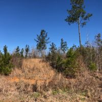 2.29 Acres in NPSD