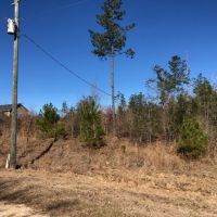 2.29 Acres in NPSD images 4