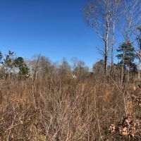 1.07 acres in NPSD images 4
