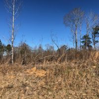 1.07 acres in NPSD images 5