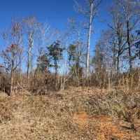 1.07 acres in NPSD images 6