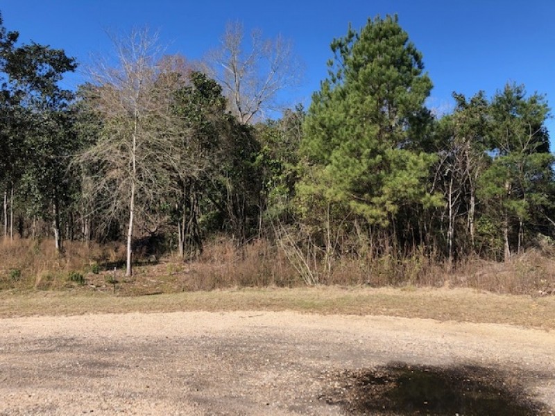 1.17 acres in NPSD featured image