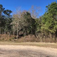 1.17 acres in NPSD images 4