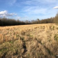 285 ac - Deer &nbsp; Duck Hunting WRP images 4