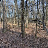 285 ac - Deer &nbsp; Duck Hunting WRP images 6