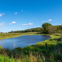 Wisconsin Land For Sale in Columbia County images 2