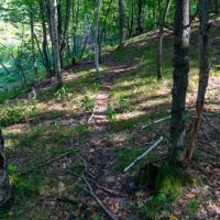Wisconsin Land For Sale in Columbia County images 4