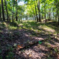 Wisconsin Land For Sale in Columbia County images 5