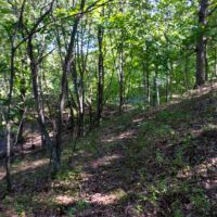 Wisconsin Land For Sale in Columbia County images 6