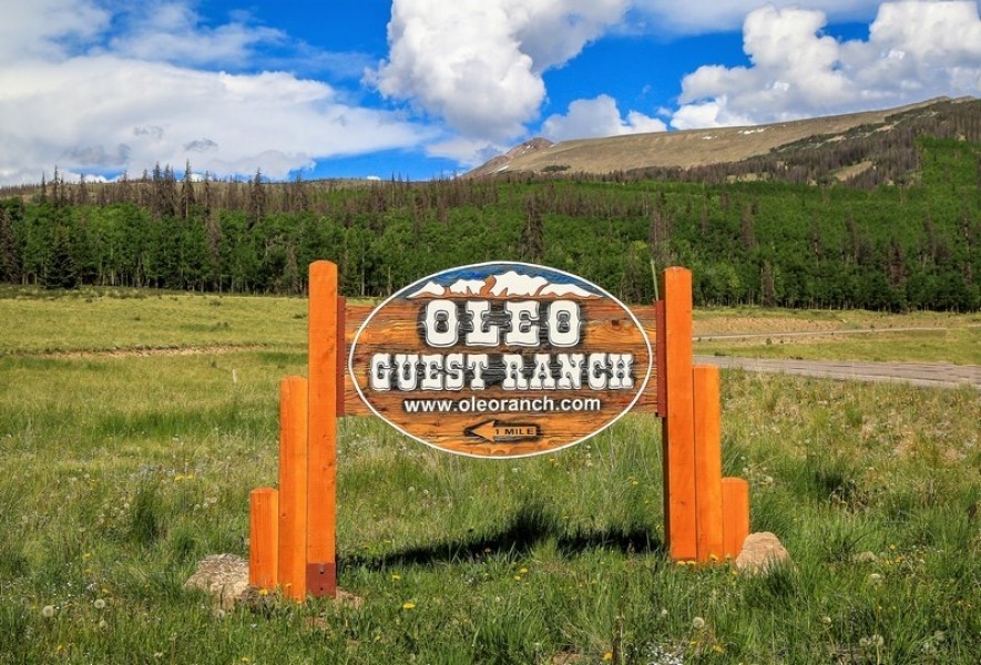 Oleo Ranch featured image