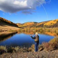 Oleo Ranch images 3