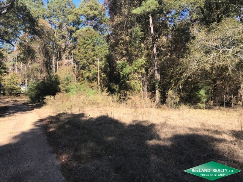 15.5 ac - Timberland for Home Site - Price Reduced featured image