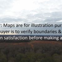 15.5 ac - Timberland for Home Site - Price Reduced images 6