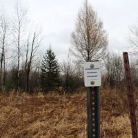 Great Mix of Ag Land and Hunting Land Taylor County WI images 3