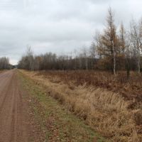 Great Mix of Ag Land and Hunting Land Taylor County WI images 4