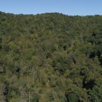 Astonishing Valley Retreat in Vernon County  Wisconsin images 4