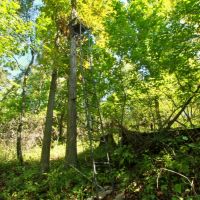 Astonishing Valley Retreat in Vernon County  Wisconsin images 5