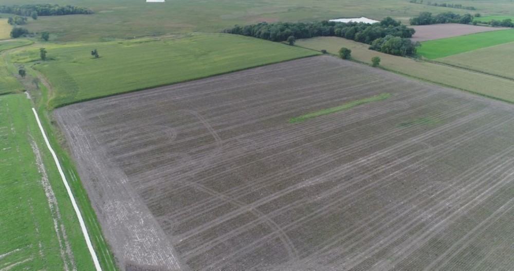 Wisconsin Farm For Sale in Dodge County featured image
