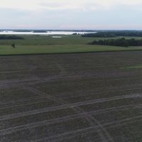 Wisconsin Farm For Sale in Dodge County images 4