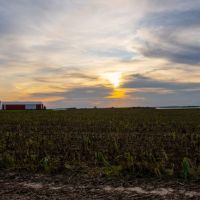 Wisconsin Farm For Sale in Dodge County images 6