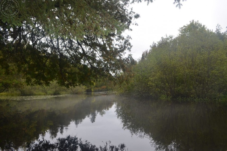 Marathon County WI Sportsman &nbsp; s Paradise featured image
