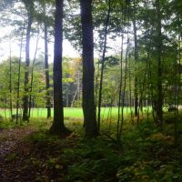 Marathon County WI Sportsman &nbsp; s Paradise images 3