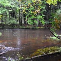 Marathon County WI Sportsman &nbsp; s Paradise images 4